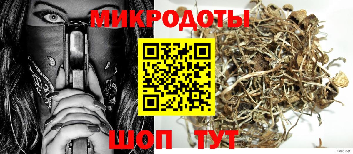 Псилоцибиновые грибы Psilocybe Оренбург