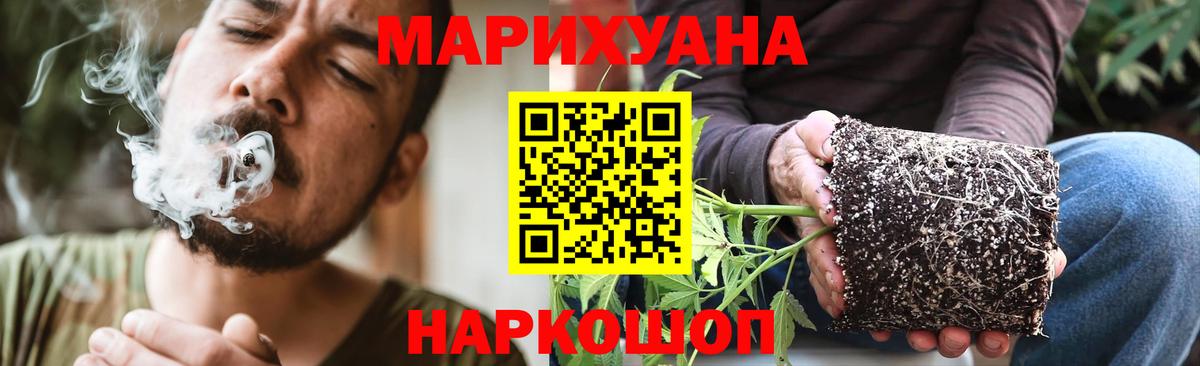 Бошки Шишки AK-47  Марихуана планчик  Бошки Шишки MAZAR  Оренбург  Вход с VPN  Марихуана VHQ 